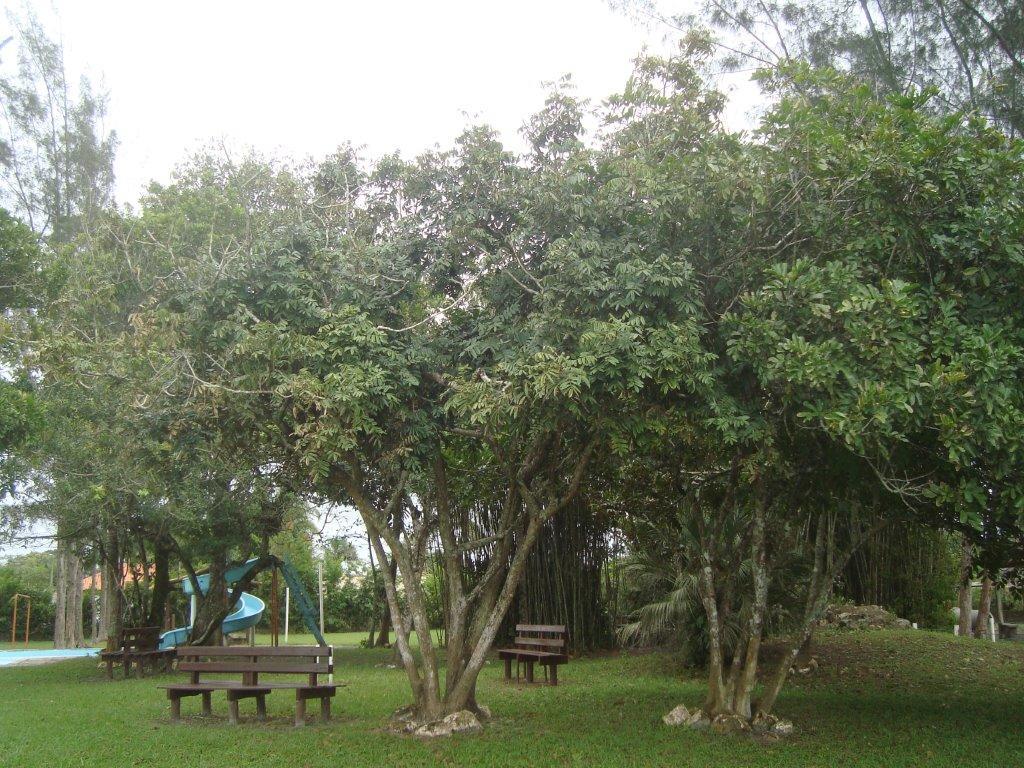 Sambura Chales Ilha Comprida Exterior photo